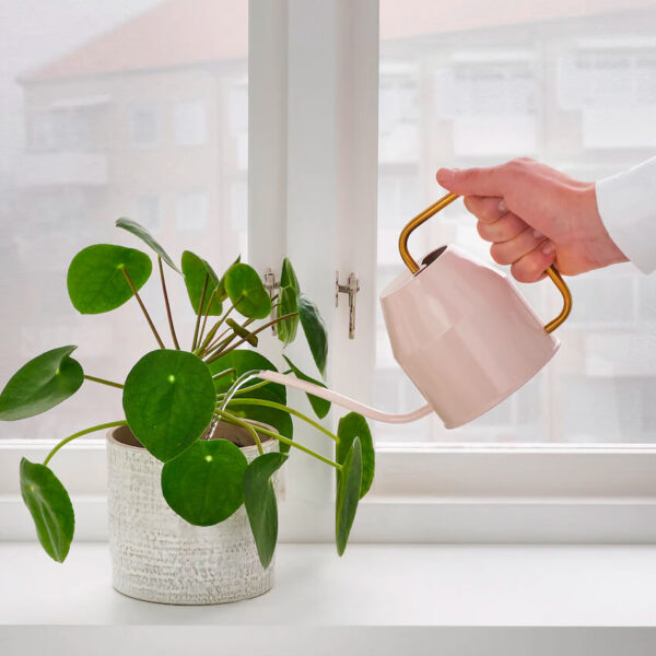 Watering can