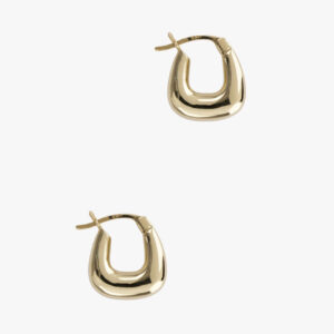 Graceful Hoop Earrings